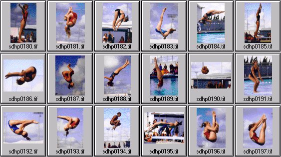prep womens diving photos