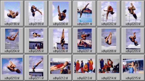 prep womens diving photos