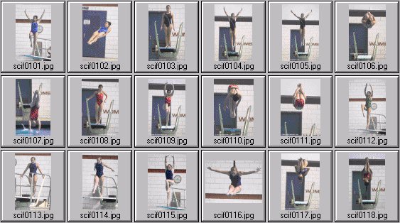 womens diving photos