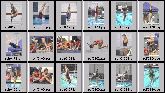 womens diving photos