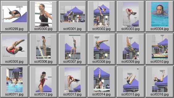 womens diving photos