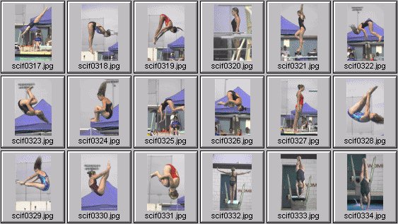 womens diving photos