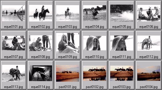 womens equestrian photos