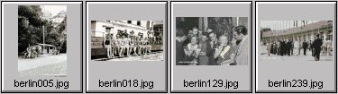 berlin 1936 olympics - other venues