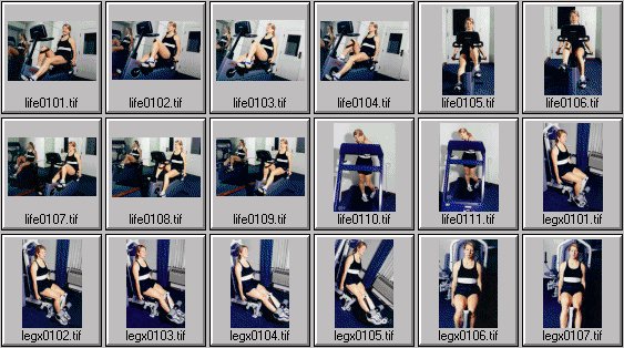 womens exercise photos