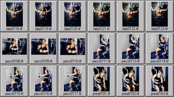 womens exercise photos