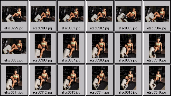 womens workout photos - stepper and lifecycle