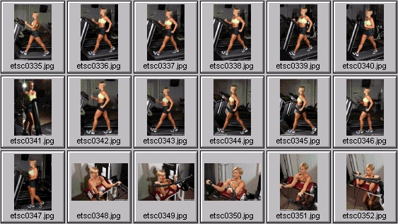 womens workout photos - treadmill, bicep curls