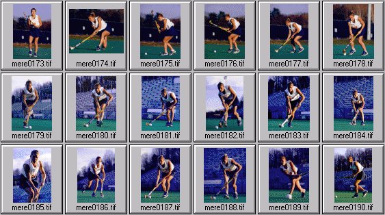 meredith elwell field hockey pictures