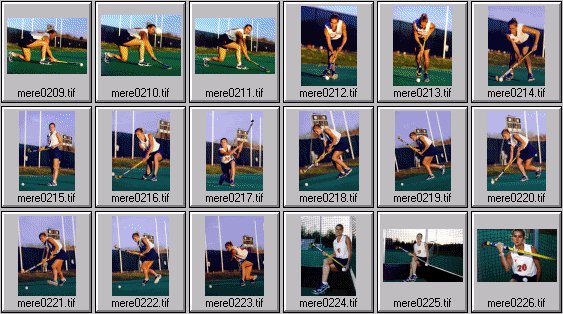 meredith elwell field hockey pictures