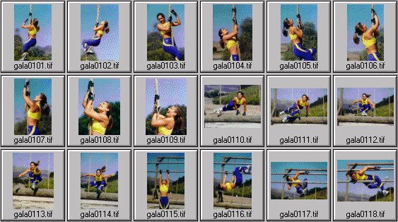 women's fitness pictures