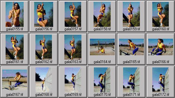 women's fitness pictures