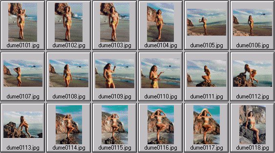 women's fitness pictures