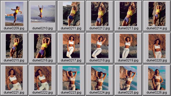 women's fitness pictures