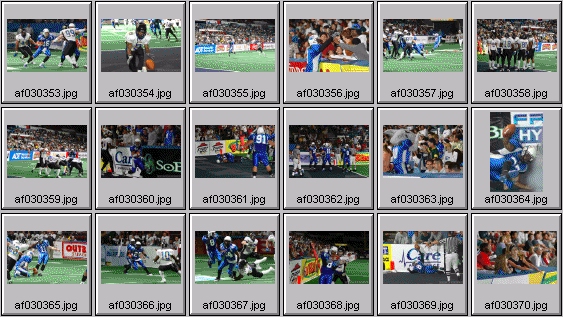 arena football photos