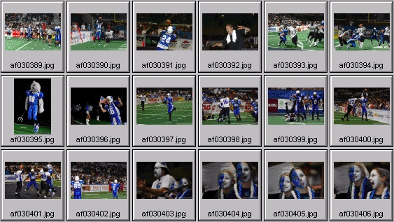 arena football photos