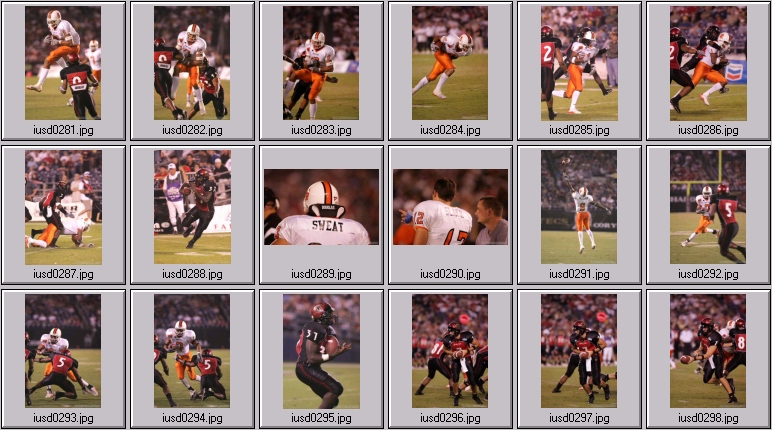 aztecs bengals