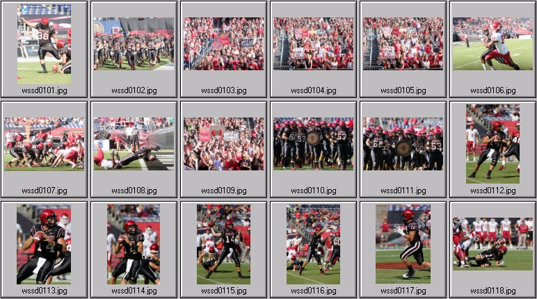 washington state football