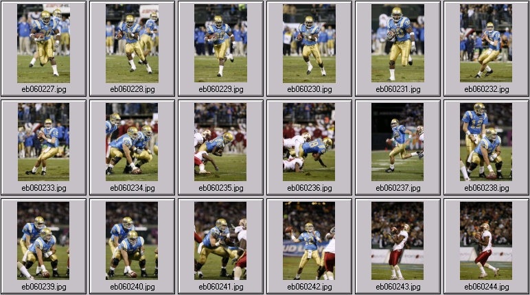 florida state football