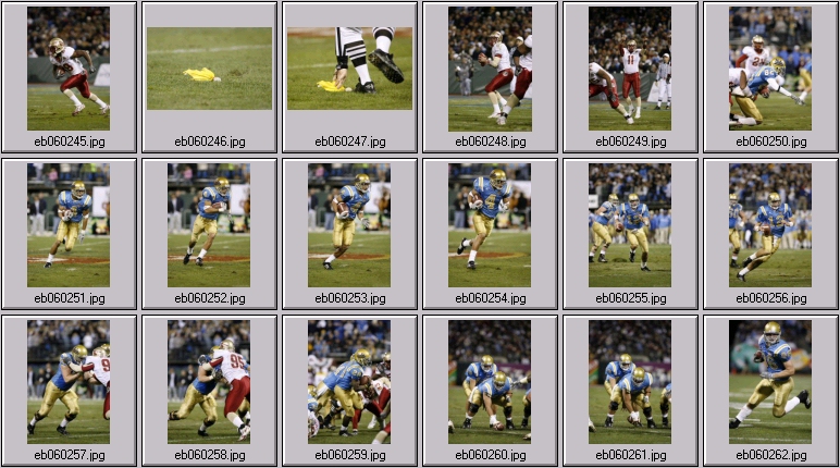 florida state football