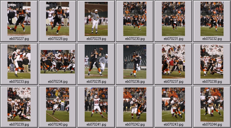 oregon state football