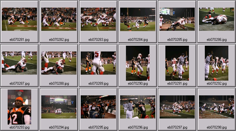 oregon state football