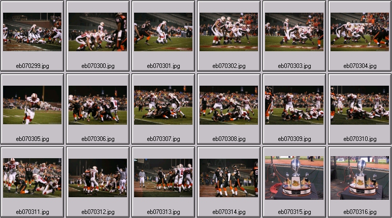 oregon state football