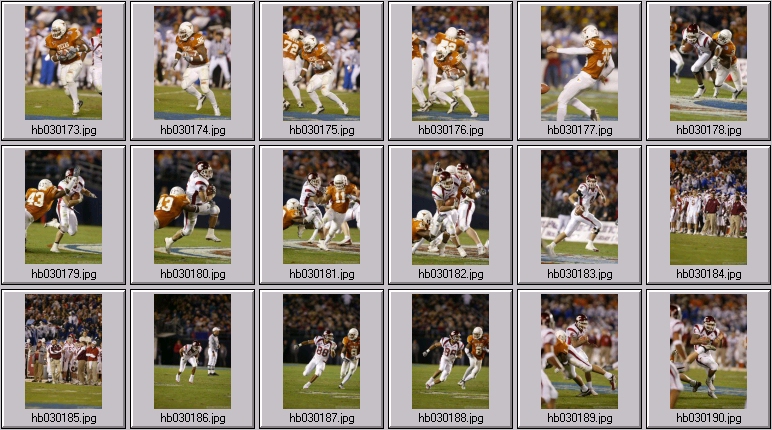 washington state cougar photos - texas longhorn football photos - vince young photos