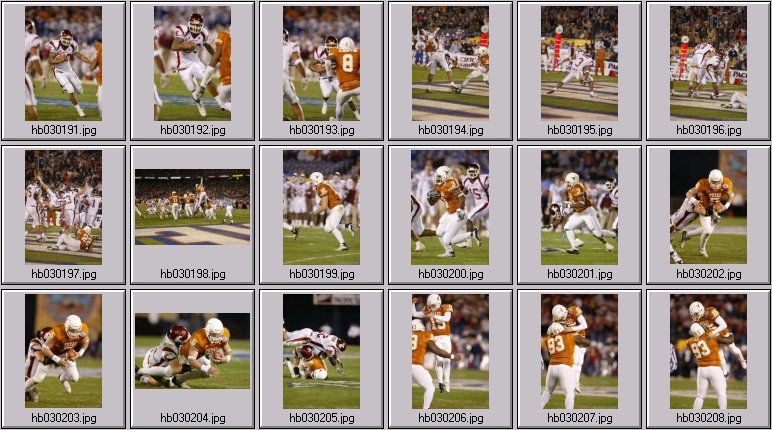 washington state cougar photos - texas longhorn football photos - vince young photos