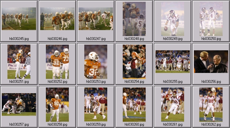 washington state cougar photos - texas longhorn football photos - vince young photos