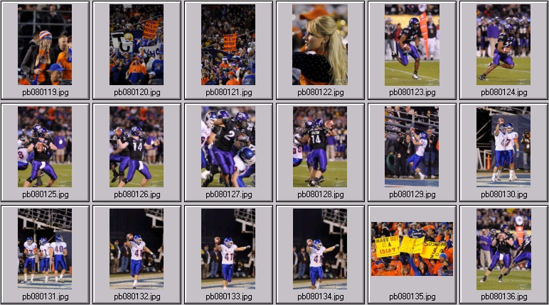 poinsettia bowl 4 photos