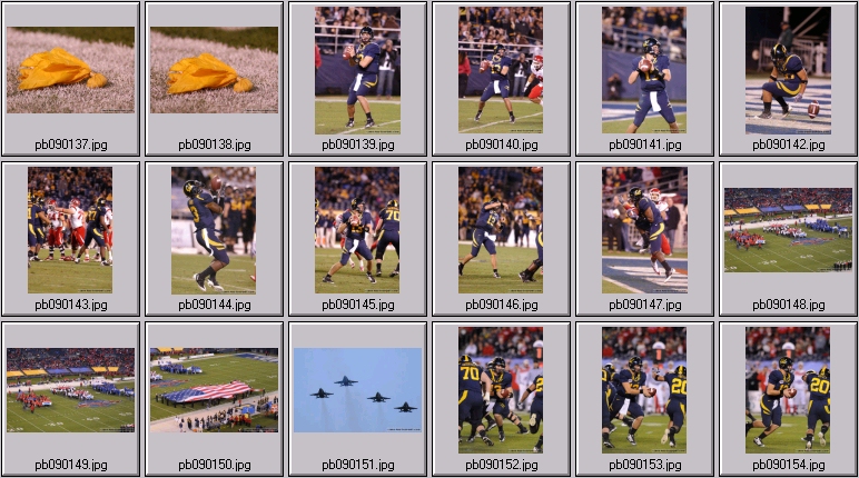 poinsettia bowl 5 photos