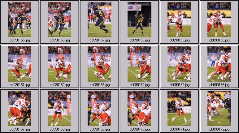 poinsettia bowl 5 photos