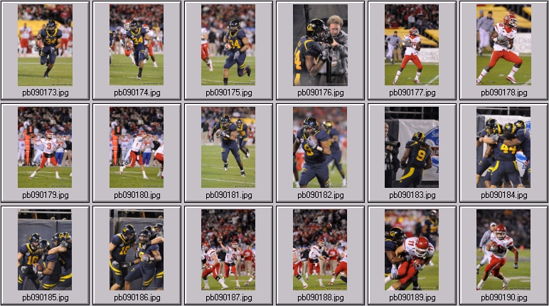 poinsettia bowl 5 photos