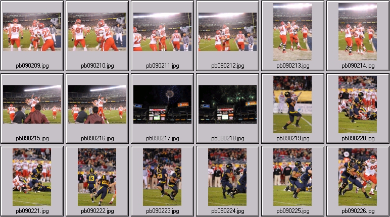 poinsettia bowl 5 photos