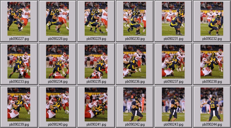 poinsettia bowl 5 photos