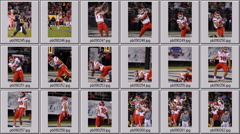 poinsettia bowl 5 photos