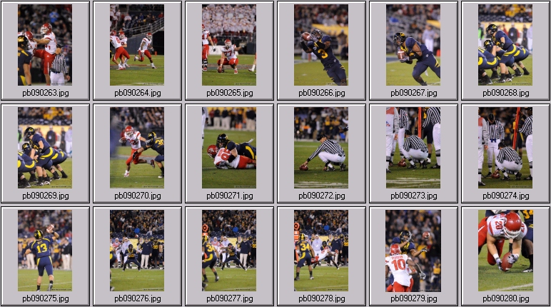 poinsettia bowl 5 photos