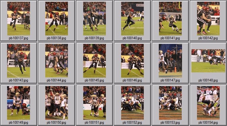 poinsettia bowl 6 photos