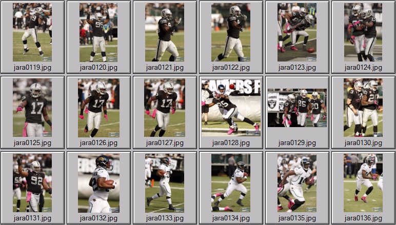 Oakland raiders