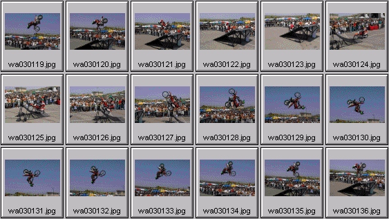 freestyle motocross photos