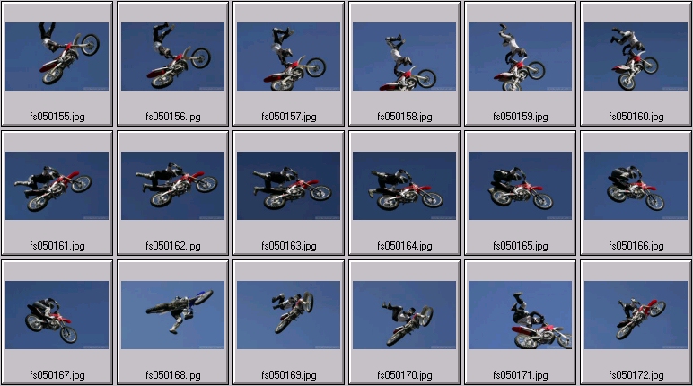 freestyle mx