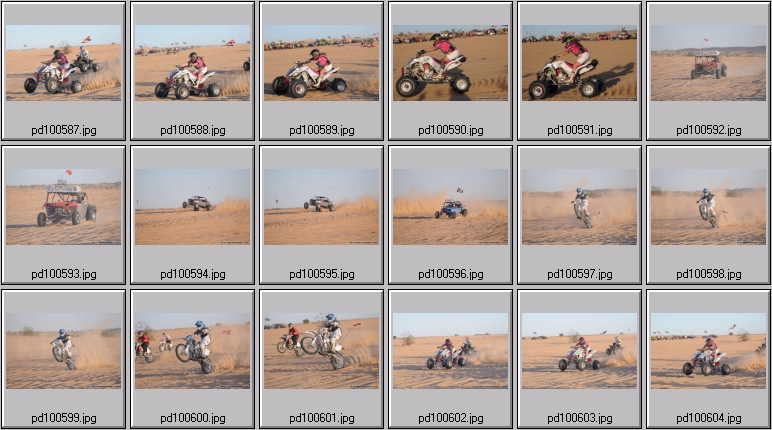 glamis sand dunes president's day