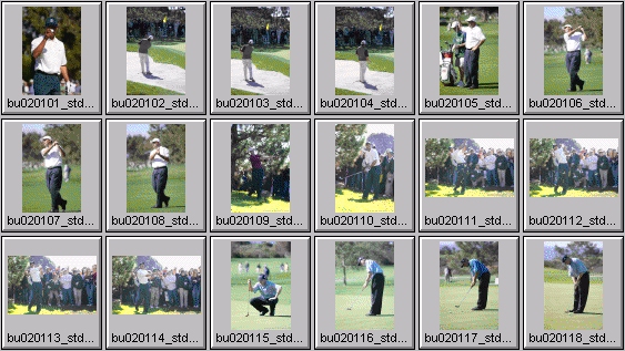 golf photos