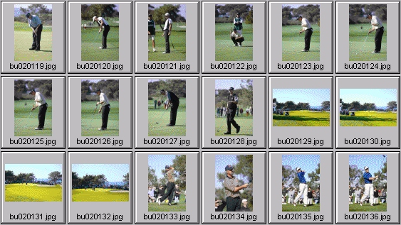 golf photos