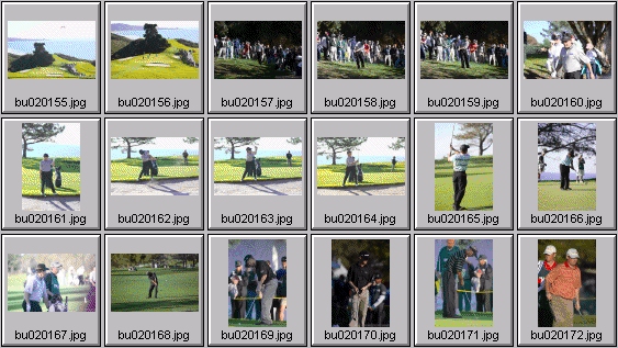 golf photos