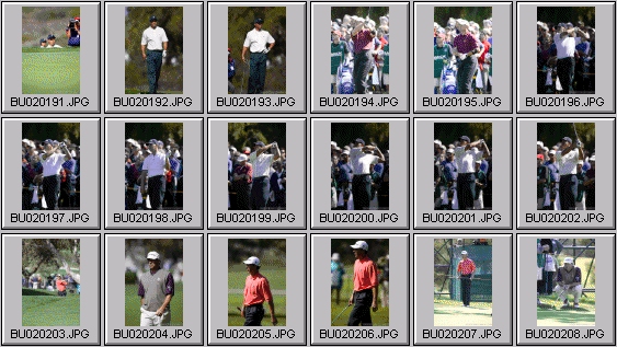 golf photos