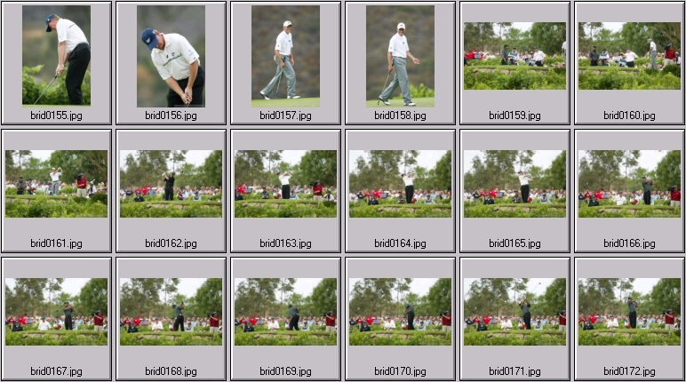 The bridges - Tiger Woods Phil Mickelson Ernie Els Sergio Garcia