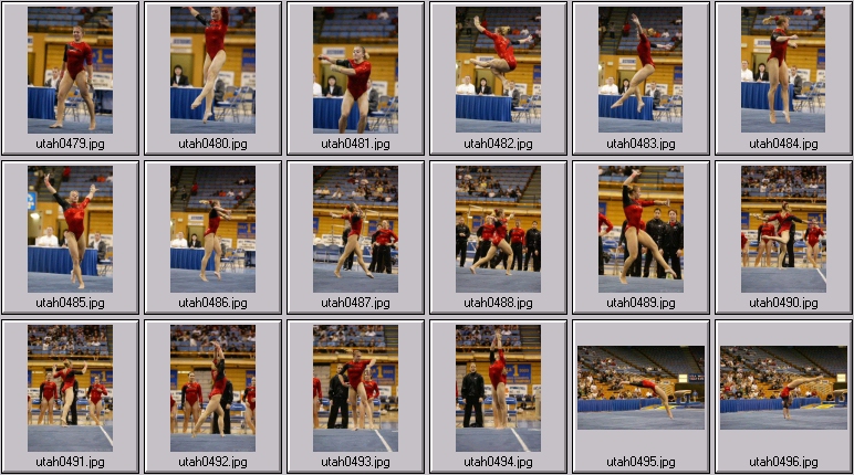 womens college gymnastics