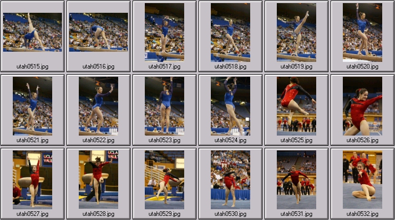 womens college gymnastics